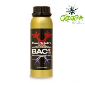FINAL SOLUTION BAC